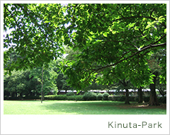 kinuta-park