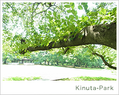 kinuta-park