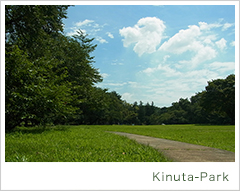 kinuta-park