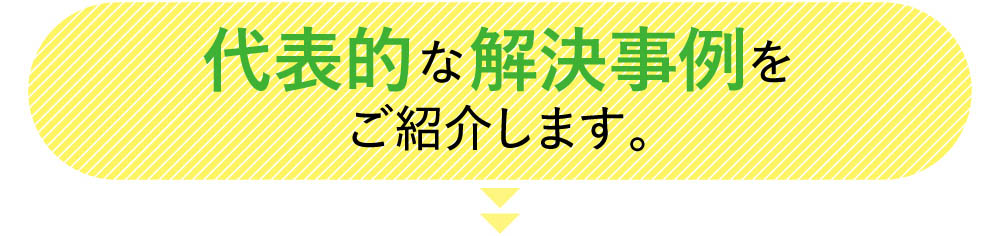 代表的な解決事例をご紹介します（お送りしたDMにも掲載しています）